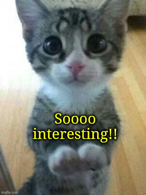 Kitten Big Eyes | Soooo interesting!! | image tagged in kitten big eyes | made w/ Imgflip meme maker
