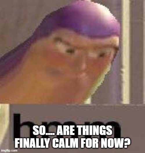 Buzz Lightyear Hmm | SO.... ARE THINGS FINALLY CALM FOR NOW? | image tagged in buzz lightyear hmm | made w/ Imgflip meme maker