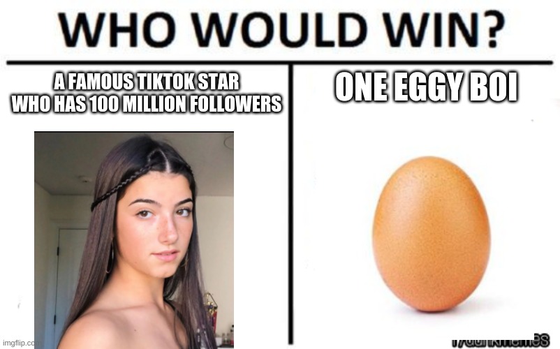 Idk who would win (maybe the eggy boi) | ONE EGGY BOI; A FAMOUS TIKTOK STAR WHO HAS 100 MILLION FOLLOWERS | image tagged in who would win template | made w/ Imgflip meme maker