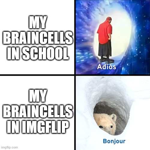 I don't like my braincells | MY BRAINCELLS IN SCHOOL; MY BRAINCELLS IN IMGFLIP | image tagged in adios bonjour | made w/ Imgflip meme maker