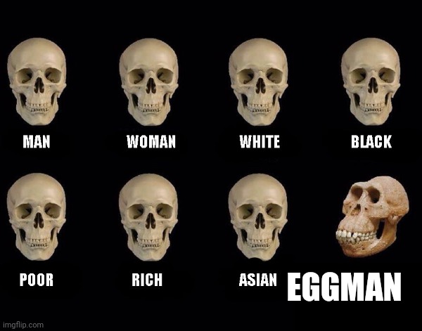 EGGMAN | image tagged in memes | made w/ Imgflip meme maker