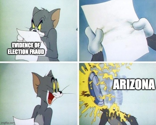 Trump's election fraud evidence | EVIDENCE OF ELECTION FRAUD; ARIZONA | image tagged in tom and jerry excited not so much | made w/ Imgflip meme maker