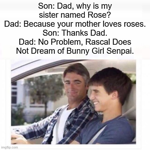 No  problem, Rascal Does Not Dream of Bunny Girl Senpai. | Son: Dad, why is my sister named Rose?
Dad: Because your mother loves roses.
Son: Thanks Dad.
Dad: No Problem, Rascal Does Not Dream of Bunny Girl Senpai. | image tagged in dad why is my sister named rose,rascal does not dream of bunny girl senpai,bruh,animeme,why is my sister's name rose,oof | made w/ Imgflip meme maker