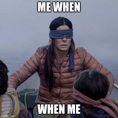 Bird Box | ME WHEN; WHEN ME | image tagged in memes,bird box | made w/ Imgflip meme maker