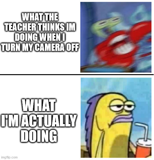 Excited vs Bored |  WHAT THE TEACHER THINKS IM DOING WHEN I TURN MY CAMERA OFF; WHAT I'M ACTUALLY DOING | image tagged in excited vs bored | made w/ Imgflip meme maker