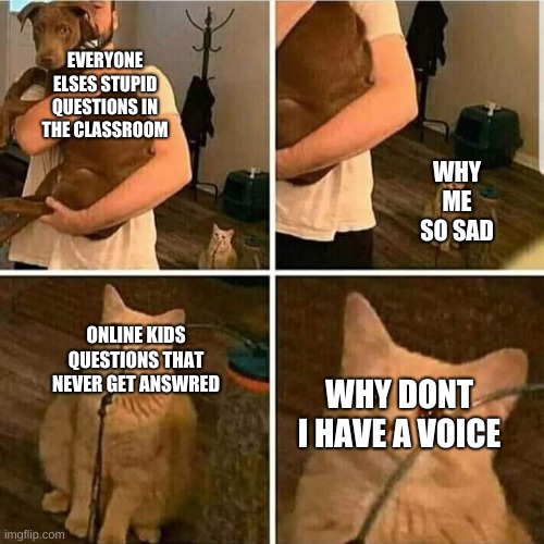 Sad Cat Holding Dog | EVERYONE ELSES STUPID QUESTIONS IN THE CLASSROOM; WHY ME SO SAD; ONLINE KIDS QUESTIONS THAT NEVER GET ANSWRED; WHY DONT I HAVE A VOICE | image tagged in sad cat holding dog | made w/ Imgflip meme maker
