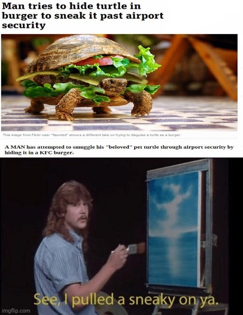 Man attempts to hide a turtle in burger | image tagged in i pulled a sneaky,kfc,burger,funny,memes,news | made w/ Imgflip meme maker
