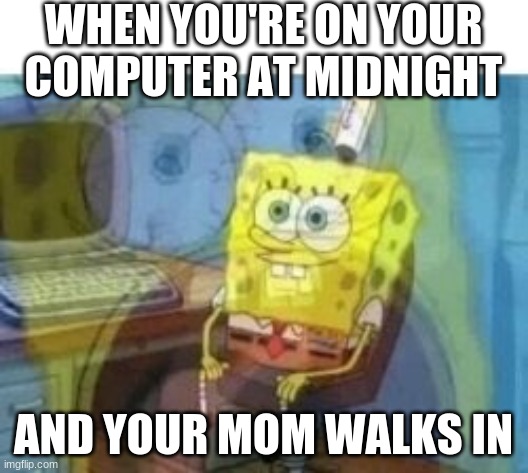 It's True | WHEN YOU'RE ON YOUR COMPUTER AT MIDNIGHT; AND YOUR MOM WALKS IN | image tagged in inside screaming spongebob | made w/ Imgflip meme maker