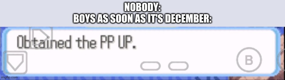 Obtained the pp up | NOBODY:
BOYS AS SOON AS IT'S DECEMBER: | image tagged in obtained the pp up | made w/ Imgflip meme maker