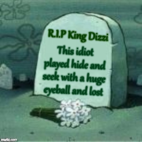 Here Lies X | This idiot played hide and seek with a huge eyeball and lost R.I.P King Dizzi | image tagged in here lies x | made w/ Imgflip meme maker