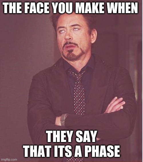 Face You Make Robert Downey Jr Meme | THE FACE YOU MAKE WHEN; THEY SAY THAT ITS A PHASE | image tagged in memes,face you make robert downey jr | made w/ Imgflip meme maker