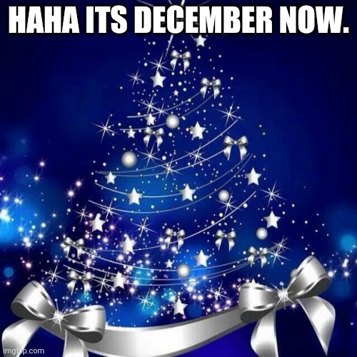 we all know what this means. | HAHA ITS DECEMBER NOW. | image tagged in merry christmas | made w/ Imgflip meme maker