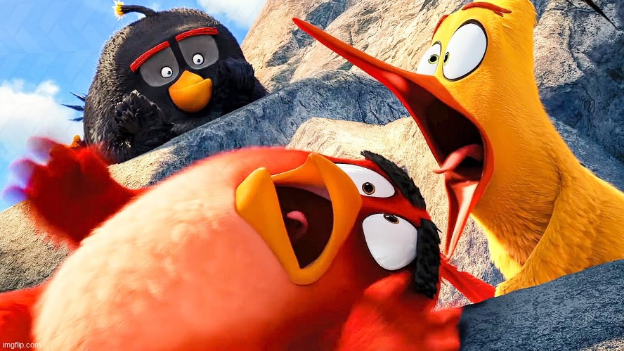 aaaaaaaaaaaaaaaaaaaaaaaaaaaaaaaaaaaaaaaaaaaaugh! | image tagged in angry birds | made w/ Imgflip meme maker