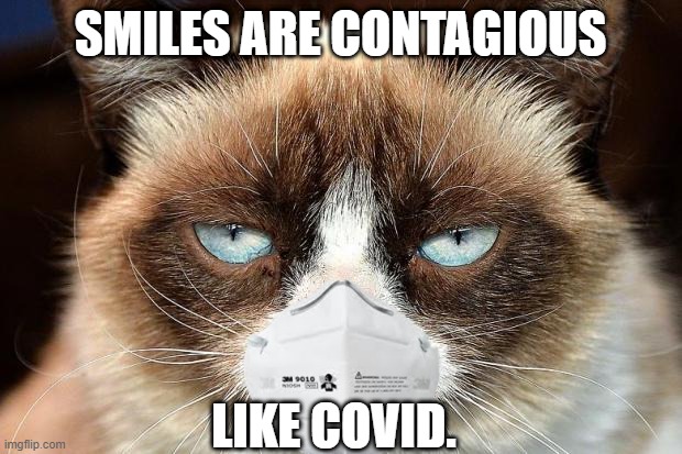 Hurry, get the masks | SMILES ARE CONTAGIOUS; LIKE COVID. | image tagged in memes,grumpy cat not amused,grumpy cat | made w/ Imgflip meme maker