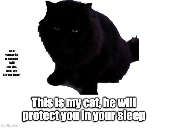 He will protect you in your sleep | Ps: if you say he is not cute, I will find you, and i will kill you. Enjoy! This is my cat, he will protect you in your sleep | image tagged in blank white template | made w/ Imgflip meme maker
