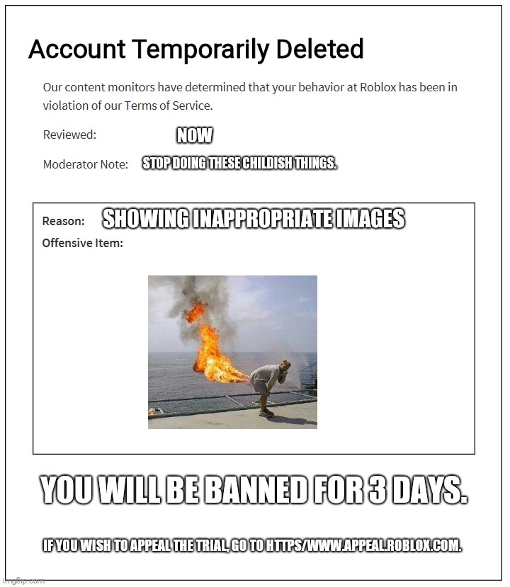 banned from ROBLOX | Account Temporarily Deleted; NOW; STOP DOING THESE CHILDISH THINGS. SHOWING INAPPROPRIATE IMAGES; YOU WILL BE BANNED FOR 3 DAYS. IF YOU WISH TO APPEAL THE TRIAL, GO TO HTTPS/WWW.APPEAL.ROBLOX.COM. | image tagged in banned from roblox | made w/ Imgflip meme maker