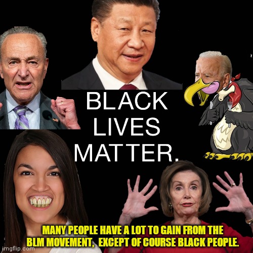 BLM We warned you that you would all be taken advantage of. You fell for it hook line and sinker. (Republicans want to give you  |  MANY PEOPLE HAVE A LOT TO GAIN FROM THE BLM MOVEMENT,  EXCEPT OF COURSE BLACK PEOPLE. | image tagged in blacklivesmatter,democrats,stupid liberals,libtards,blm,black and white | made w/ Imgflip meme maker