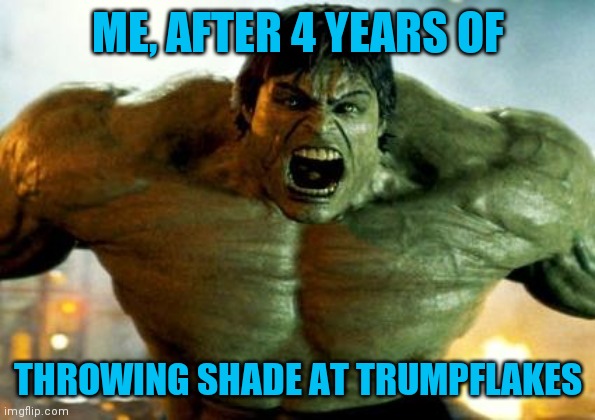 hulk | ME, AFTER 4 YEARS OF; THROWING SHADE AT TRUMPFLAKES | image tagged in hulk | made w/ Imgflip meme maker