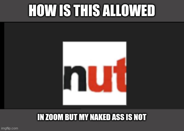 HOW IS THIS ALLOWED; IN ZOOM BUT MY NAKED ASS IS NOT | image tagged in nuts | made w/ Imgflip meme maker