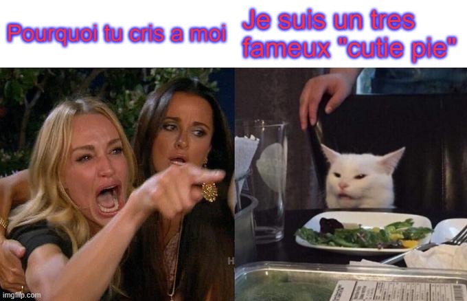 Woman Yelling At Cat Meme | Pourquoi tu cris a moi; Je suis un tres fameux "cutie pie" | image tagged in memes,woman yelling at cat | made w/ Imgflip meme maker