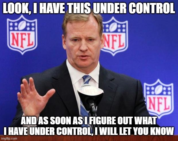 roger goodell | LOOK, I HAVE THIS UNDER CONTROL; AND AS SOON AS I FIGURE OUT WHAT I HAVE UNDER CONTROL, I WILL LET YOU KNOW | image tagged in roger goodell | made w/ Imgflip meme maker