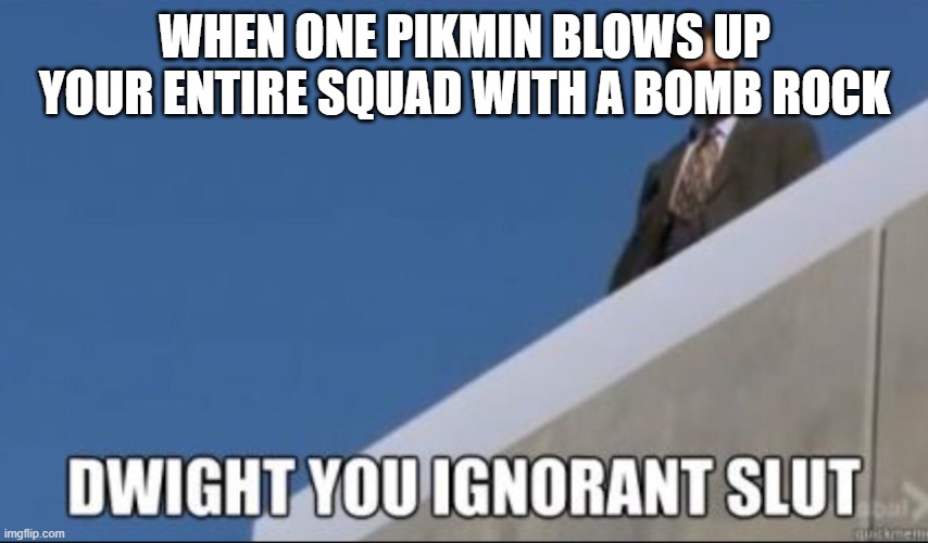 Dwight you Ignorant Slut | WHEN ONE PIKMIN BLOWS UP YOUR ENTIRE SQUAD WITH A BOMB ROCK | image tagged in dwight you ignorant slut | made w/ Imgflip meme maker