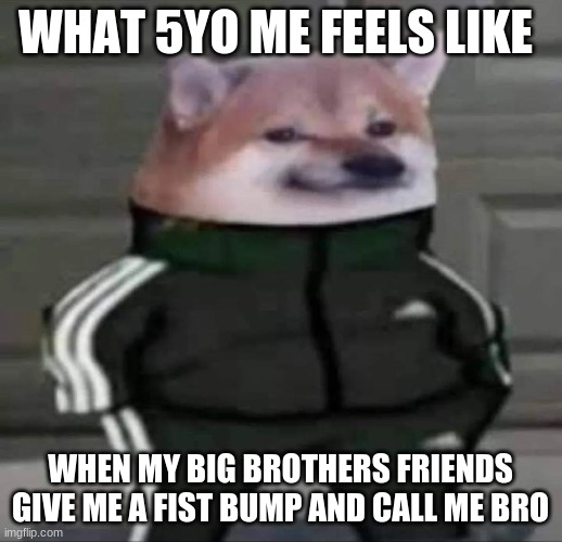 Cheebs Tracksuit | WHAT 5YO ME FEELS LIKE; WHEN MY BIG BROTHERS FRIENDS GIVE ME A FIST BUMP AND CALL ME BRO | image tagged in cheebs tracksuit | made w/ Imgflip meme maker
