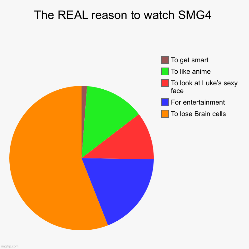 The REAL reason to watch SMG4 | The REAL reason to watch SMG4 | To lose Brain cells, For entertainment , To look at Luke’s sexy face, To like anime, To get smart | image tagged in charts,pie charts | made w/ Imgflip chart maker