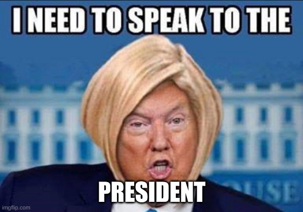 Trump karen | PRESIDENT | image tagged in trump karen | made w/ Imgflip meme maker