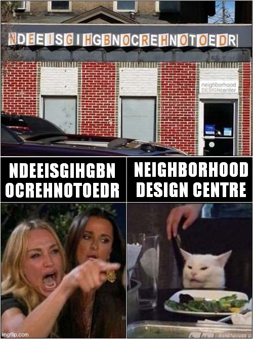 Woman Yelling At Cat 'Say What You See' | NEIGHBORHOOD DESIGN CENTRE; NDEEISGIHGBN
OCREHNOTOEDR | image tagged in fun,woman yelling at cat,frontpage | made w/ Imgflip meme maker