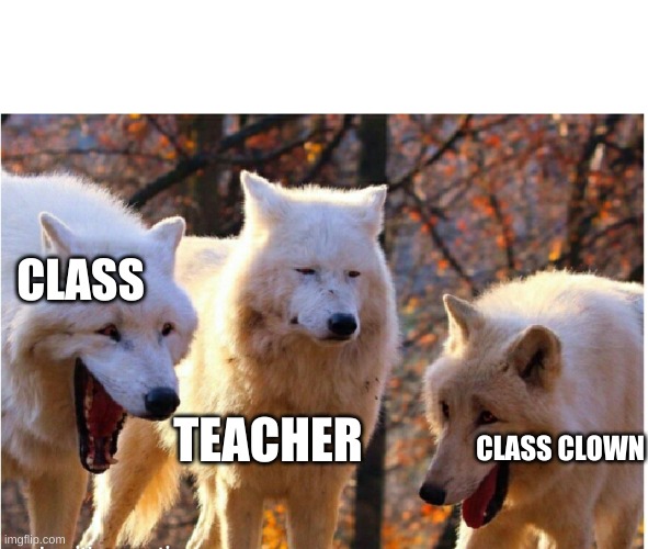 Laughing wolves | CLASS; TEACHER; CLASS CLOWN | image tagged in laughing wolves | made w/ Imgflip meme maker