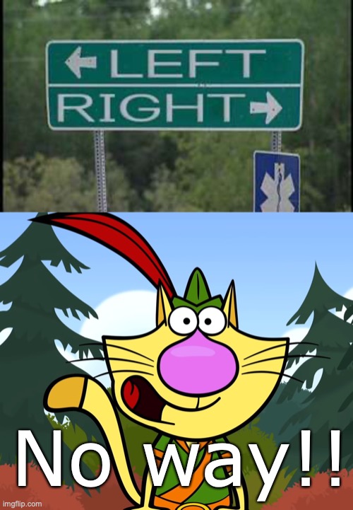 No way!! | image tagged in no way nature cat | made w/ Imgflip meme maker