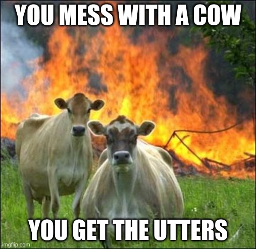 Evil Cows Meme | YOU MESS WITH A COW; YOU GET THE UTTERS | image tagged in memes,evil cows | made w/ Imgflip meme maker