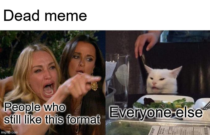 Woman Yelling At Cat | Dead meme; Everyone else; People who still like this format | image tagged in memes,woman yelling at cat | made w/ Imgflip meme maker