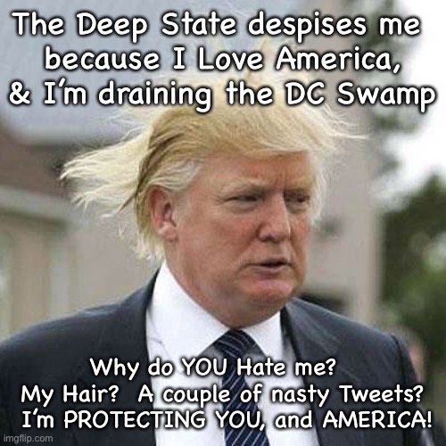 Donald Trump | The Deep State despises me 
because I Love America, & I’m draining the DC Swamp; Why do YOU Hate me?  
My Hair?  A couple of nasty Tweets?  I’m PROTECTING YOU, and AMERICA! | image tagged in donald trump | made w/ Imgflip meme maker