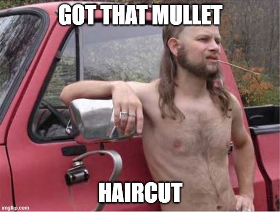 mullet | GOT THAT MULLET; HAIRCUT | image tagged in hillbilly mullet | made w/ Imgflip meme maker
