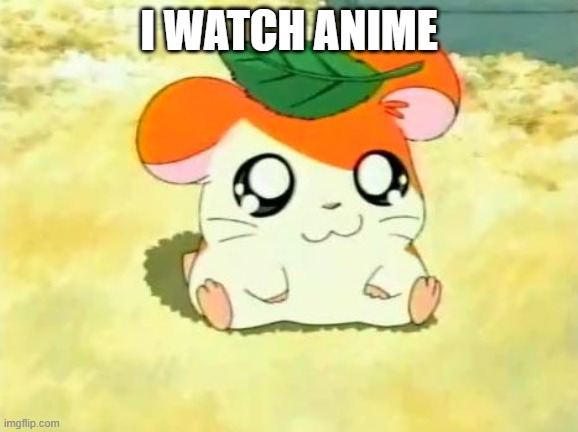 Hamtaro Meme | I WATCH ANIME | image tagged in memes,hamtaro | made w/ Imgflip meme maker