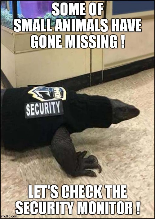 Trouble At The Pet Store ! | SOME OF SMALL ANIMALS HAVE GONE MISSING ! LET'S CHECK THE SECURITY MONITOR ! | image tagged in pet store,security,monitor,cctv,frontpage | made w/ Imgflip meme maker