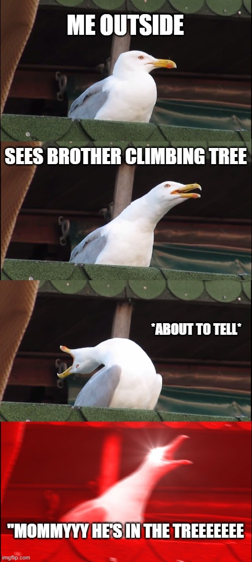 Inhaling Seagull | ME OUTSIDE; SEES BROTHER CLIMBING TREE; *ABOUT TO TELL*; "MOMMYYY HE'S IN THE TREEEEEEE | image tagged in memes,inhaling seagull | made w/ Imgflip meme maker