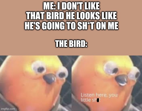 Listen here you little shit bird | ME: I DON'T LIKE THAT BIRD HE LOOKS LIKE HE'S GOING TO SH*T ON ME; THE BIRD: | image tagged in listen here you little shit bird | made w/ Imgflip meme maker