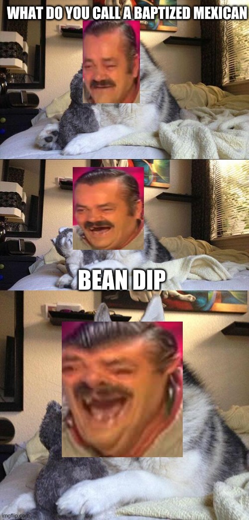 Baptized Mexican | WHAT DO YOU CALL A BAPTIZED MEXICAN; BEAN DIP | image tagged in memes,bad pun dog | made w/ Imgflip meme maker