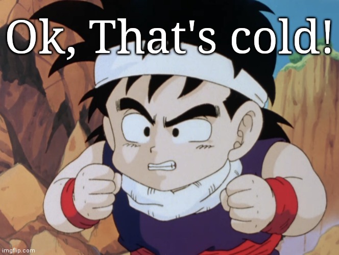 Gohan "Do I look like.." (DBZ) | Ok, That's cold! | image tagged in gohan do i look like dbz | made w/ Imgflip meme maker