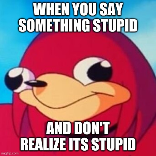 Ugandan Knuckles | WHEN YOU SAY SOMETHING STUPID; AND DON'T REALIZE ITS STUPID | image tagged in ugandan knuckles | made w/ Imgflip meme maker