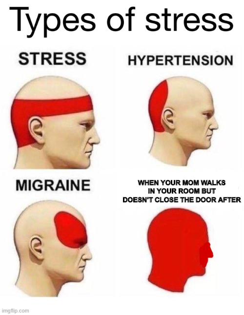 I know im posting a lot of templates but i would like to offer new ones to newbies and stuff, enjoy! | WHEN YOUR MOM WALKS IN YOUR ROOM BUT DOESN'T CLOSE THE DOOR AFTER | image tagged in types of headaches | made w/ Imgflip meme maker