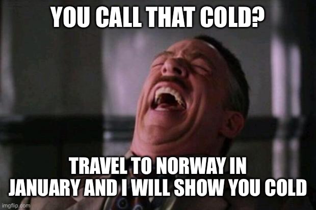 Spider Man boss | YOU CALL THAT COLD? TRAVEL TO NORWAY IN JANUARY AND I WILL SHOW YOU COLD | image tagged in spider man boss | made w/ Imgflip meme maker