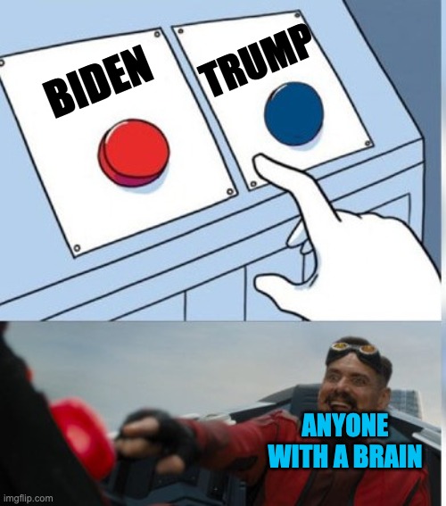 Two Buttons Eggman | TRUMP; BIDEN; ANYONE WITH A BRAIN | image tagged in two buttons eggman | made w/ Imgflip meme maker