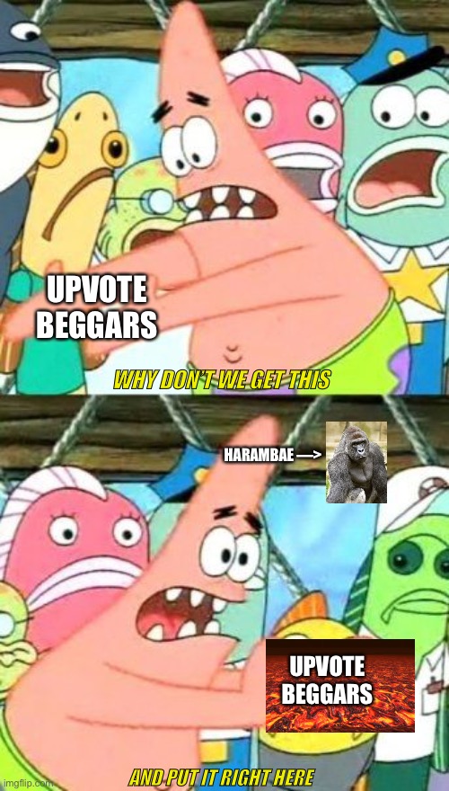 Put It Somewhere Else Patrick | UPVOTE BEGGARS; WHY DON’T WE GET THIS; HARAMBAE —>; UPVOTE BEGGARS; AND PUT IT RIGHT HERE | image tagged in memes,put it somewhere else patrick | made w/ Imgflip meme maker