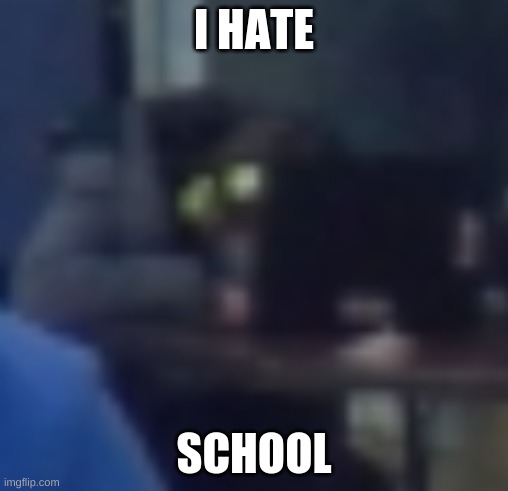 I HATE; SCHOOL | image tagged in fun | made w/ Imgflip meme maker