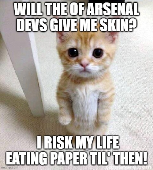 "Arsenal devs give me skin" tribute | WILL THE OF ARSENAL DEVS GIVE ME SKIN? I RISK MY LIFE EATING PAPER TIL' THEN! | image tagged in memes,cute cat | made w/ Imgflip meme maker