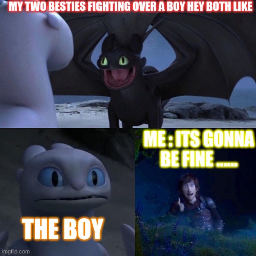 night fury | MY TWO BESTIES FIGHTING OVER A BOY HEY BOTH LIKE; ME : ITS GONNA BE FINE ...... THE BOY | image tagged in night fury | made w/ Imgflip meme maker